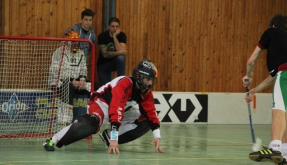 Králové statistik jsou Václav Hlavsa a Jan Haase